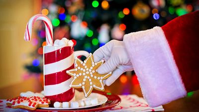 ¿En Navidad en España llega Santa Claus o Papá Noel? El catedrático Vilches responde