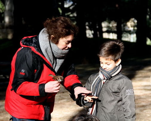 Anillamiento de aves en el Parque del Oeste / ENARA