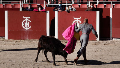 Miguel Abellán: "El toro solo entiende de entrega y de sacrificio"