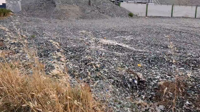 Investigan posibles prácticas irregulares en diversas empresas dedicadas al reciclado de materiales