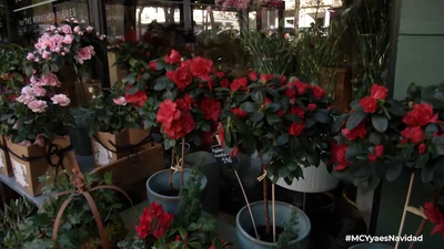 Este mercadillo de Navidad solo abre 10 días al año y aquí se puede encontrar todo tipo de decoración navideña