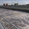 La presencia de Covid en aguas residuales madrileñas empieza a descender tras alcanzar su máximo histórico