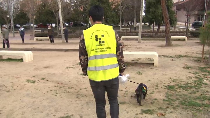Paseadores voluntarios de perros para ayudar a los mayores de Fuenlabrada