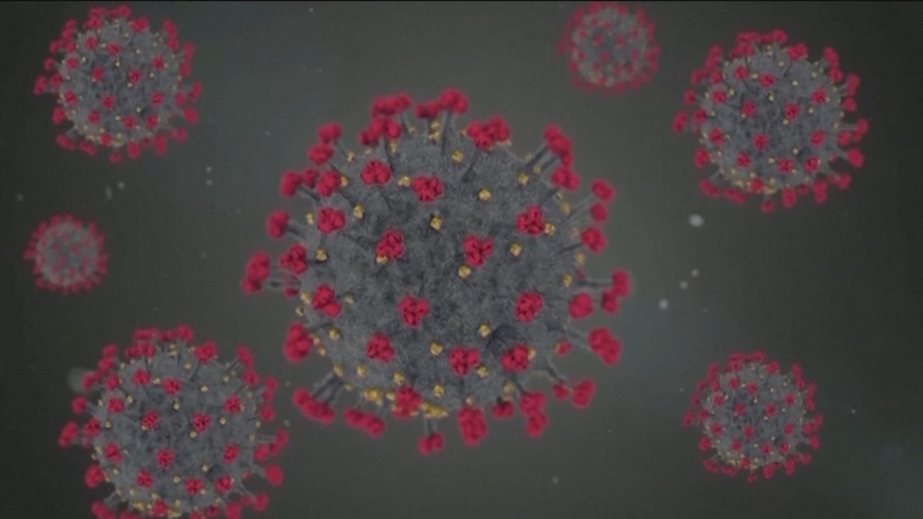 Los científicos investigan por qué hay personas que no se contagian de Covid