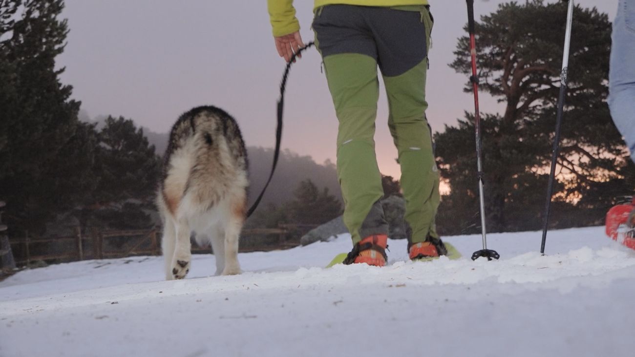 De excursión por Rascafría con raquetas de nieve