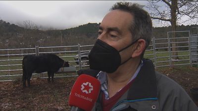Garzón desata la ira del sector ganadero que pide su cese por decir que España exporta “carne de mala calidad”