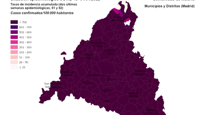 El mapa Covid de Madrid en este arranque de 2022 deja a Arganda, Villalba, Coslada y Valdemoro como líderes en contagios