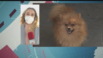 120 minutos 05.01.2022: Parte 2