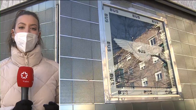 Detenida una pareja tras agredir con una botella al personal de un pub de Ciudad Lineal