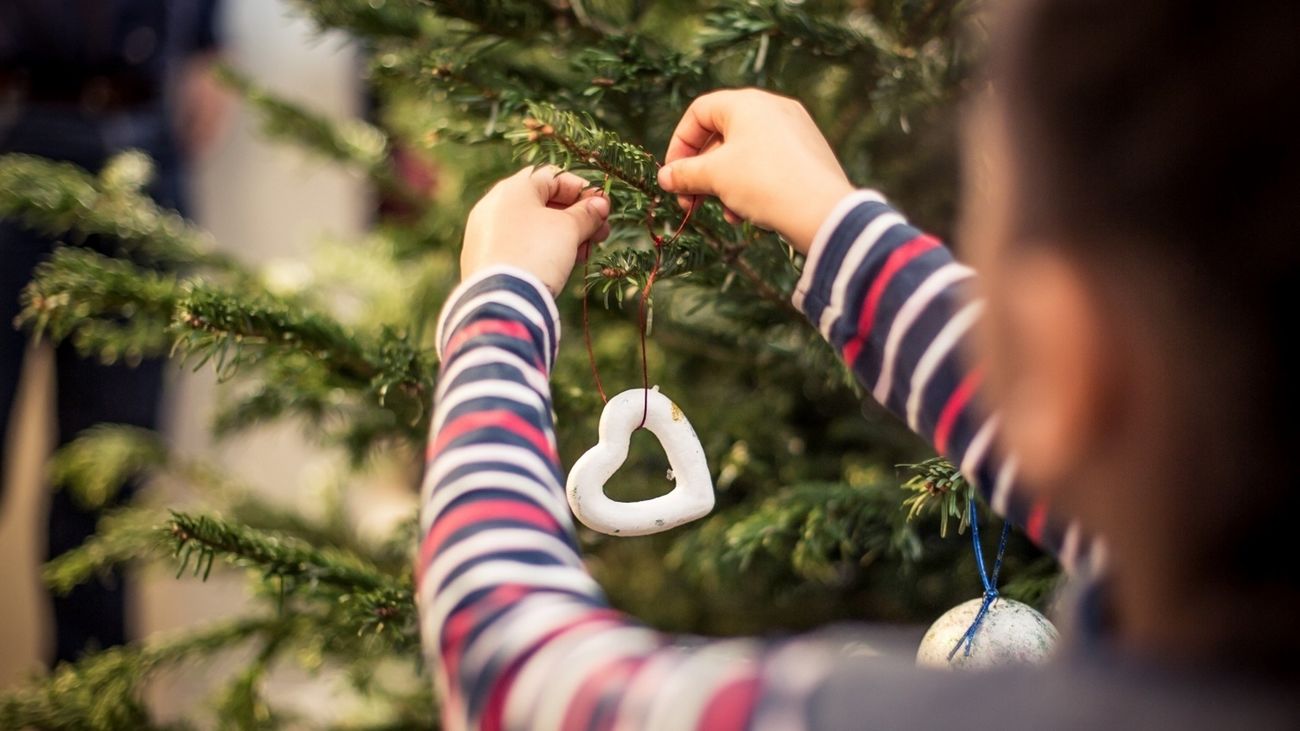 Móstoles recogerá gratuitamente los árboles de Navidad para replantarlos