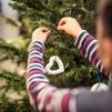 Móstoles recogerá gratuitamente los árboles de Navidad para replantarlos