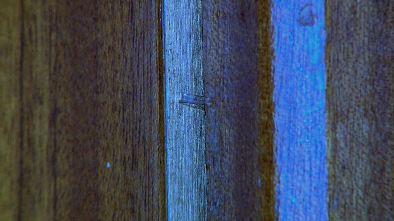 Cómo evitar un potencial robo en tu vivienda revisando la puerta