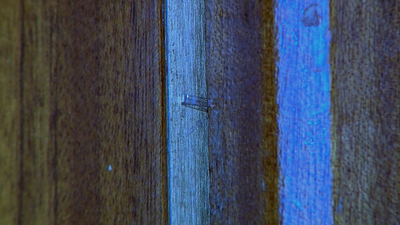 Cómo evitar un potencial robo en tu vivienda revisando la puerta