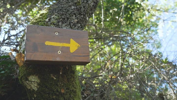 Castañar de Rozas de Puerto Real / Redacción