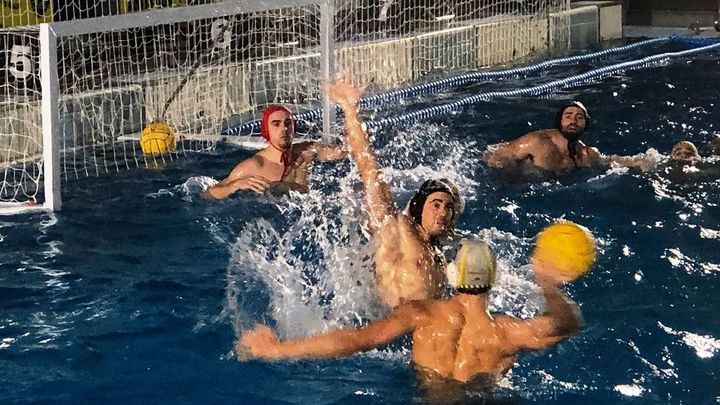 Geodesic Real Canoe / @REALCANOE