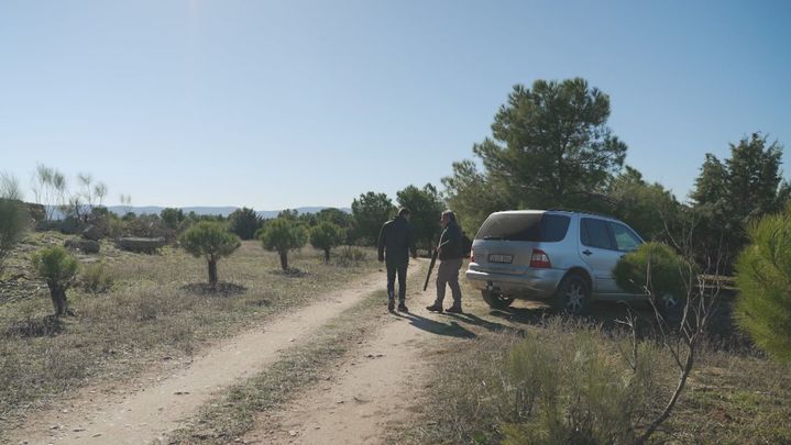 En busca de perdices, las reinas de la caza menor
