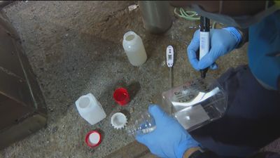 Así se busca el coronavirus en las aguas residuales de Madrid