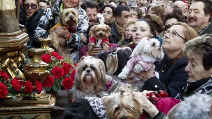 Asistentes a la bendición de los animales / MADRID.ES