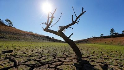 2021 fue el sexto año más cálido en la Tierra desde 1880
