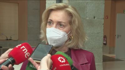 Dancausa comparecerá a petición propia en la Asamblea para informar del caso de las menores prostituidas