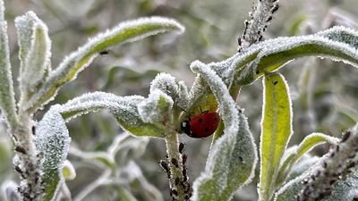 Sábado con descensos de temperaturas y heladas