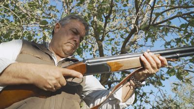 ¡A la caza de conejos!