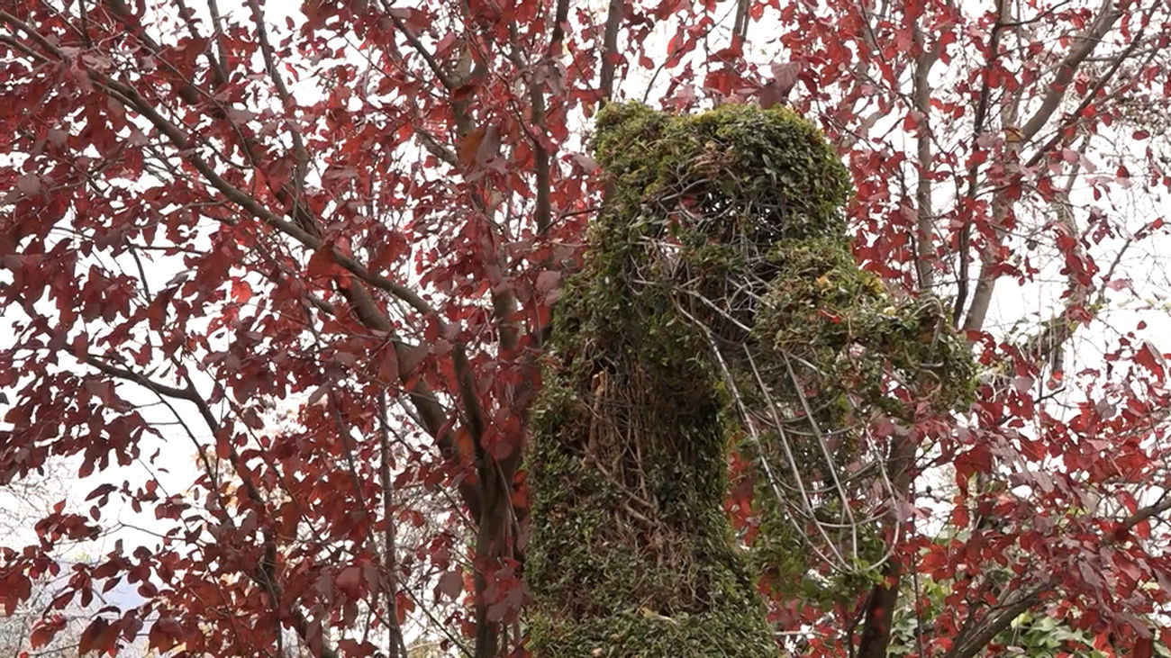 Un bosque en San Martín de Valdeiglesias al más puro estilo Eduardo Manostijeras