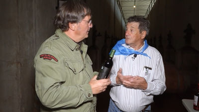 Los vinos de San Martín de Valdeiglesias, famosos desde el siglo XII