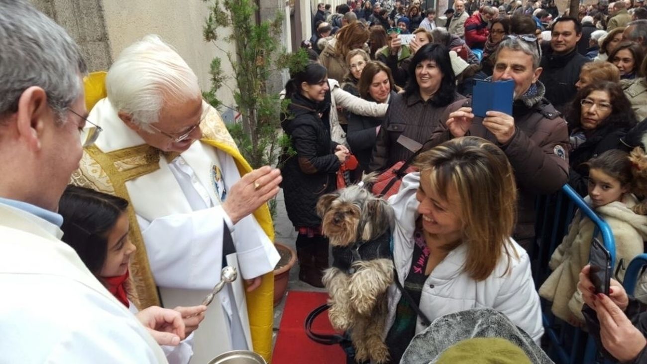 El Padre Ángel bendecirá animales este domingo por San Antón