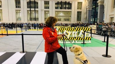 Los perros guía de la ONCE exhiben este domingo sus habilidades por San Antón