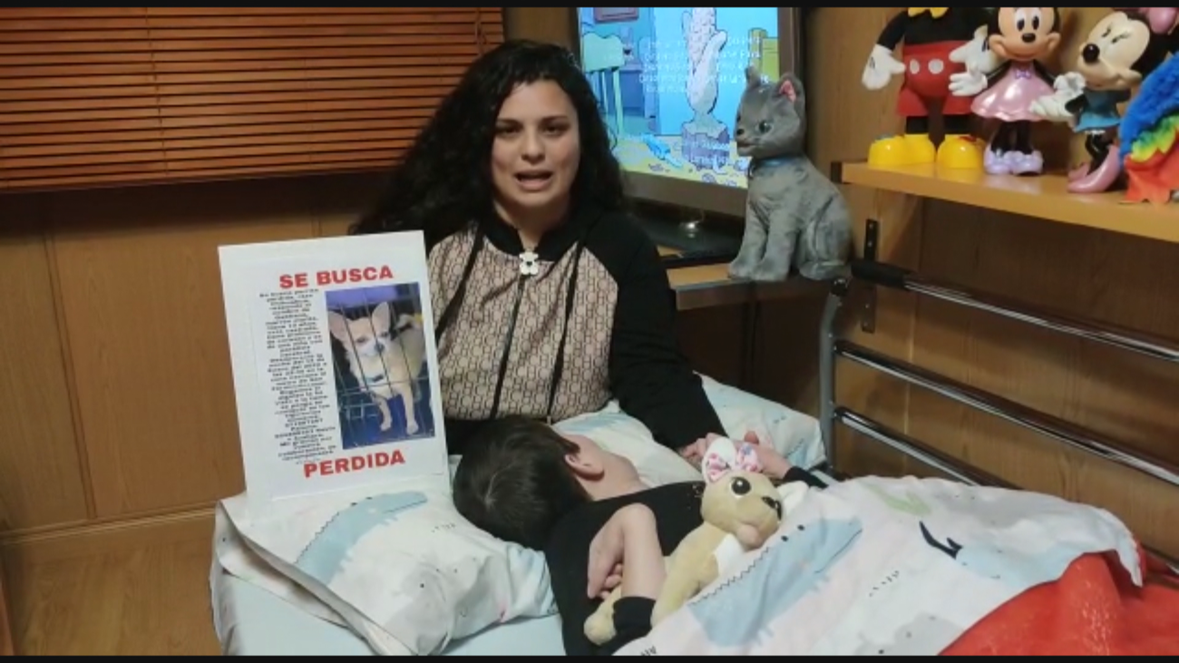 Roban presuntamente a una chihuahua en Orcasur