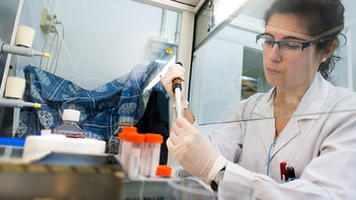 La reforma laboral expulsará a 25.000 investigadores de las universidades españolas