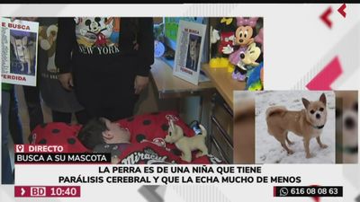 Una familia desesperada por encontrar a Gabana, una perrita perdida en Orcasur