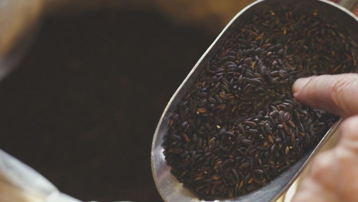 Arroz negro de Japón / Redacción