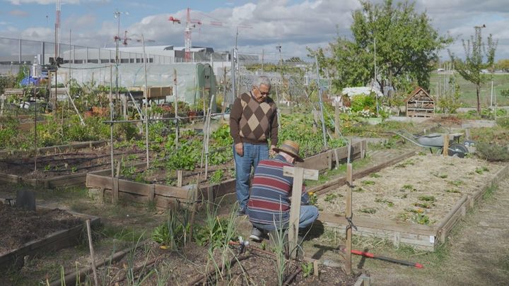 Los vecinos de Vicálvaro plantan un huerto urbano comunitario
