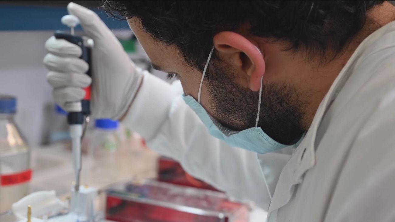 Un equipo del CSIC trabaja en una vacuna que frena la infección y la transmisión de la Covid
