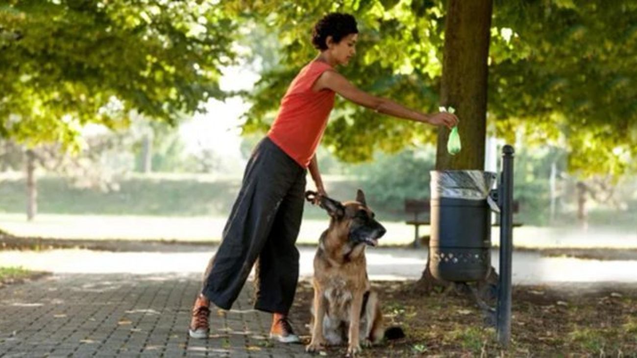Alcorcón elabora un mapa con las zonas más 'calientes' de excrementos caninos