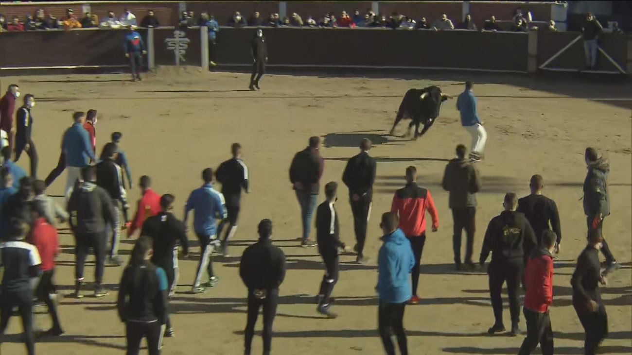 Capea solidaria en las fiestas de San Sebastián de los Reyes