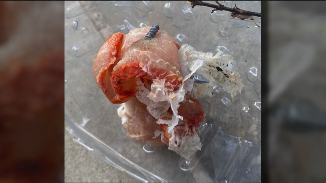 ¿Quién lanza carne con clavos a los perros de una urbanización de Galapagar?