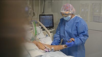 El Ministerio de Sanidad notifica 382 nuevas defunciones por Covid con 114.877 nuevos contagios