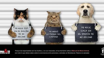 Moralzarzal edita un ‘Manual de moral animal’ con los derechos y deberes de las mascotas