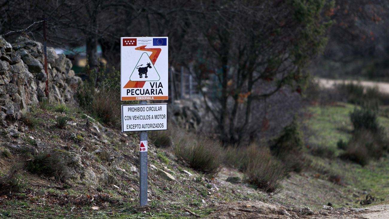 Cartel de vía pecuaria en un camino agroganadero de la Comunidad de Madrid