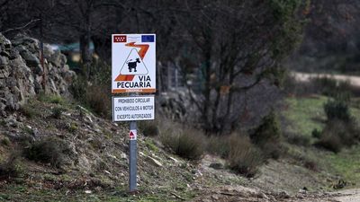 Ayuntamiento, ganaderos y agricultores de El Molar acuerdan el arreglo de varios caminos