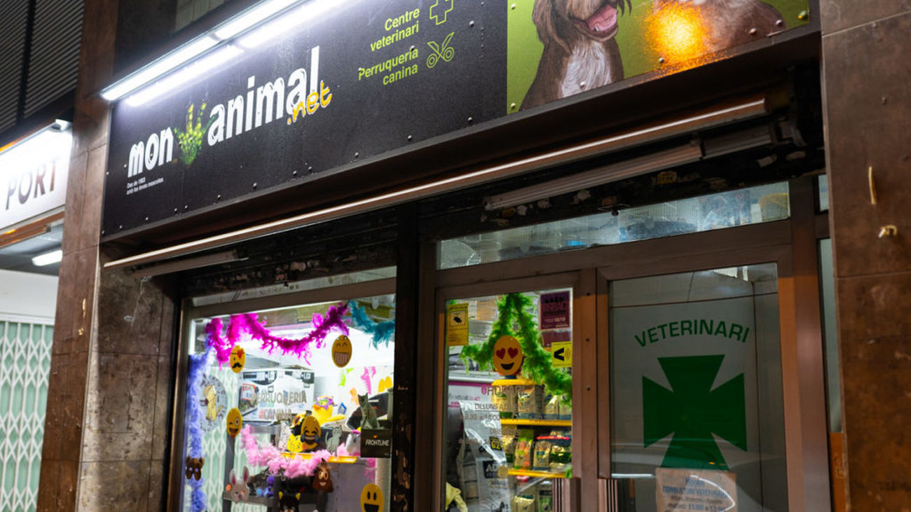 Mueren cientos de animales en el incendio de una tienda mascotas en Barcelona