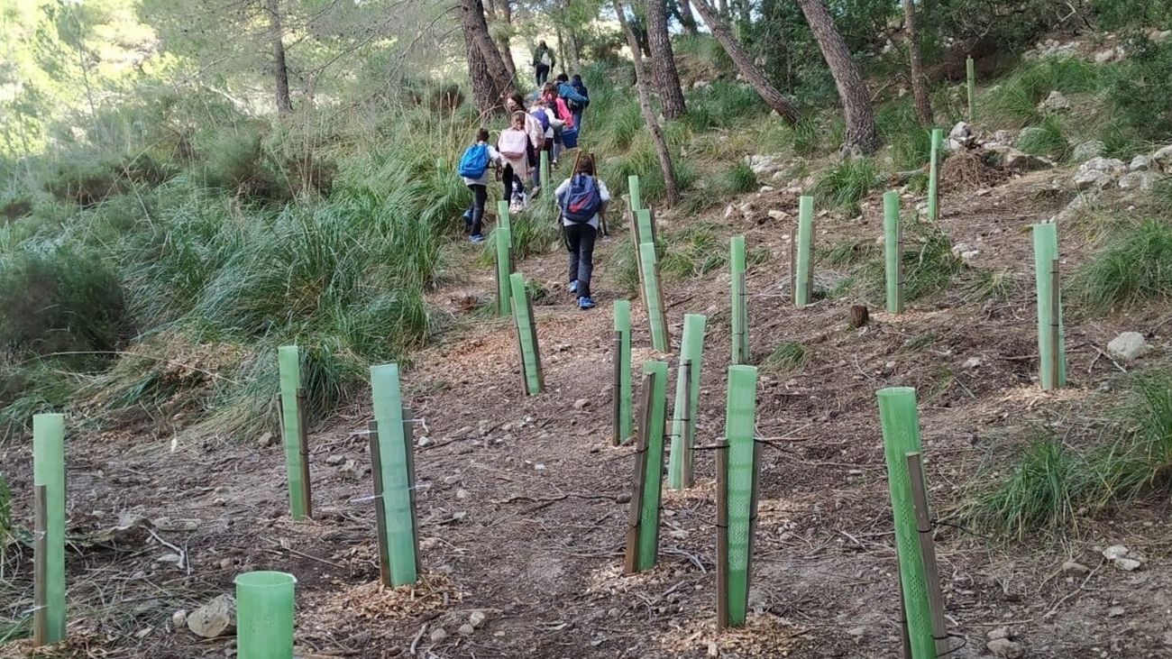 Día Internacional de la Educación Ambiental