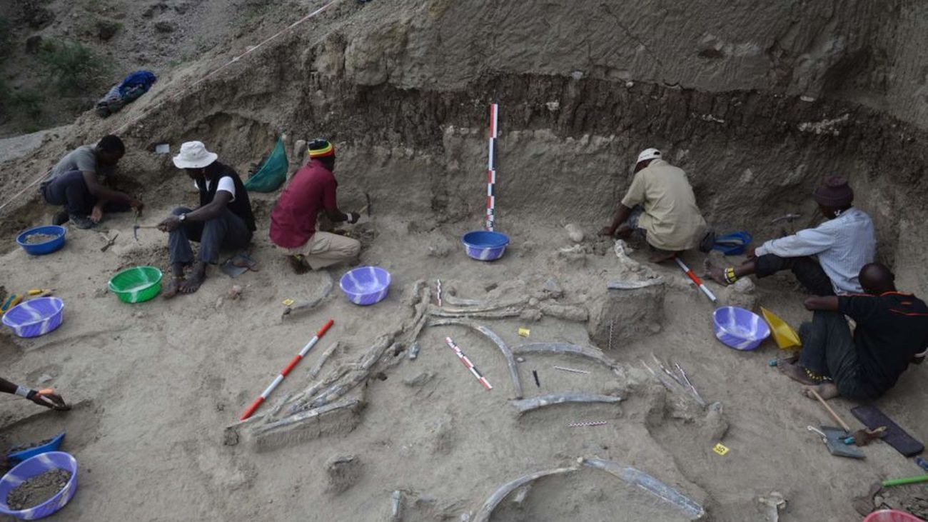 Excavación paleontológica en la garganta de Olduvai, en Tanzania