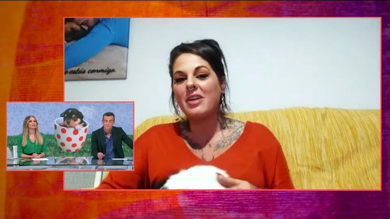 Pepa hace volver a casa a Dico, perdido hace 7 años