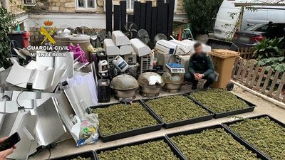 Incautan 85 kilos de marihuana en dos casas de una urbanización de Venturada