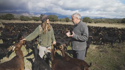 Aprendemos a pastorear cabras en Colmenar Viejo