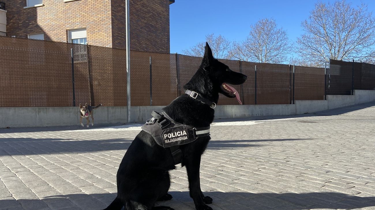 Un nuevo 'agente' para la policía de Majadahonda